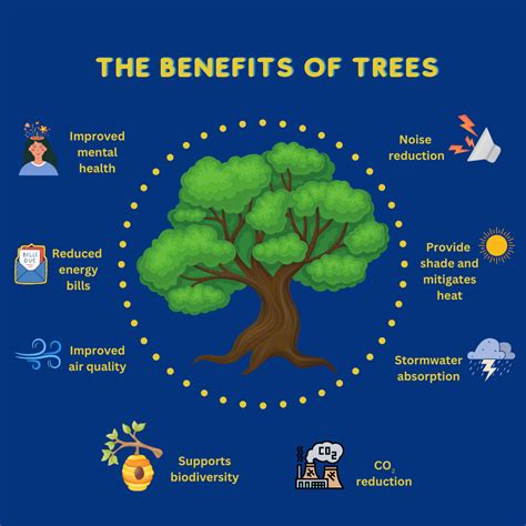 Environmental Impact of Trees | Arbor Day Foundation - muktibox.com
