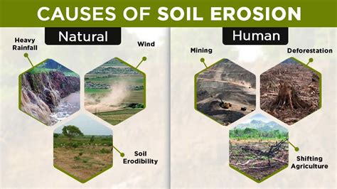 Environmental Impact Terms: Soil Pollution, Erosion, Deforestation ... - muktibox.com