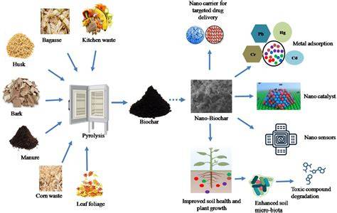 Environmentalists for Biochar | This is a paper from Biochar journal ... - raincitystudios.com