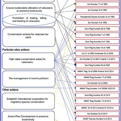 Envisioning a Governance Model for an MPA/SPAMI as a Cetacean Migration ... - raincitystudios.com