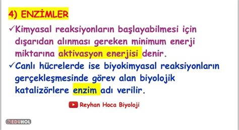 ENZİMLER Erciyes.