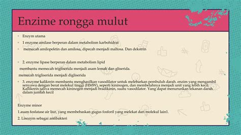 Enzim di Mulut dan Fungsinya - muktibox.com