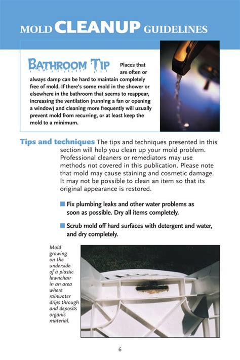 EPA Guide to Mold PDF