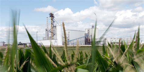 EPA boosts use of biofuels but holds steady for corn-based ethanol production
