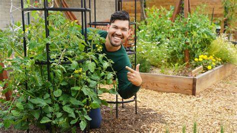 Epic Gardening: Simple, Practical Gardening Tips - raincitystudios.com