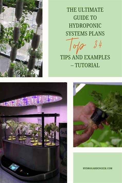 Epic Guide to Hydroponic Plans. TOP#34 Ideas. - raincitystudios.com