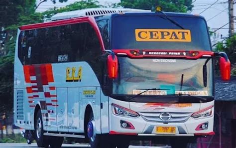 EPORNER INDONESIAN bus ML & Bispak Korea mesum aktifkan subtitle jika ada info bokep brondong terpesona penggemar konten intim terkesima image 1
