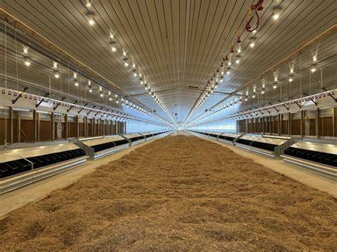 Equipment for poultry and pigs | Big Dutchman North America | - raincitystudios.com