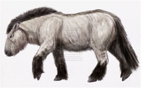 Equus lenensis: The Ice Age Horse of... - Peter Dinolandia - wintechmobiles.com