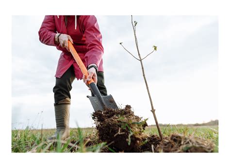 Ergonomic digging techniques - raincitystudios.com