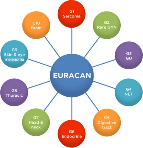 ERN EURACAN covers all rare adult solid tumour cancers