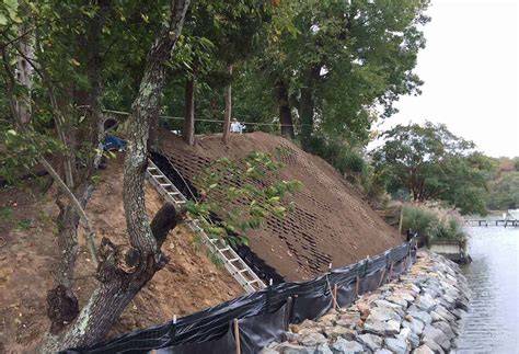 Erosion control - Vetiver Systems - raincitystudios.com
