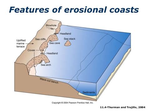 Erosional and Depositional Coasts - Student Materials - wintechmobiles.com