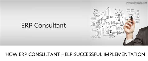 ERP-Consultant Buch