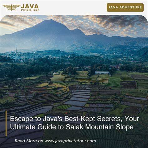 Escape to Java's Best-Kept Secrets, Your Ultimate Guide to Salak ... - raincitystudios.com