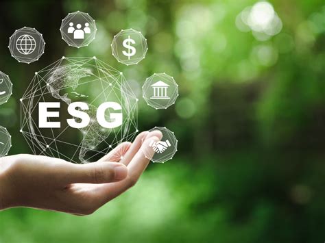ESG reporting expectations on suppliers growing: BDC