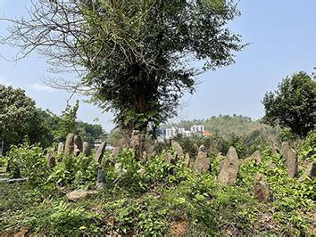 Essence of Megalithism among the Ethnic Communities from Assam ... - wintechmobiles.com