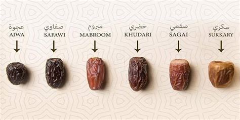 ESSENT.GDES DATES ISLAM