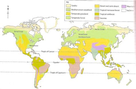 Essential Biogeography Study Guide: Key Concepts and Biomes - muktibox.com
