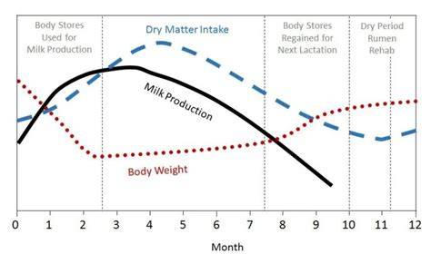 Essential Dairy Nutrition for Lactating and Dry Cows | Course Hero - raincitystudios.com