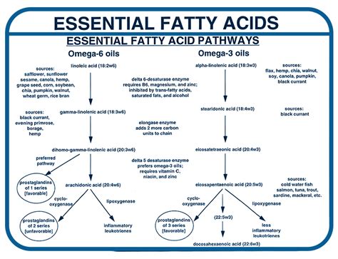 Essential Fatty Acid Deficiency and Hormone Production: How Low … - muktibox.com