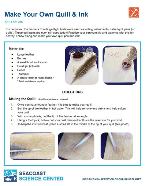 Essential Guide to Feather Quill Pens | Tutorial & Brief … - muktibox.com