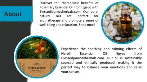 Essential Oils From Egypt | Amrita Aromatherapy - wintechmobiles.com