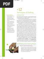 Essential Techniques for Grafting Success | PDF - raincitystudios.com