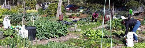 Establish community gardens. SGA | Sustainable … - raincitystudios.com