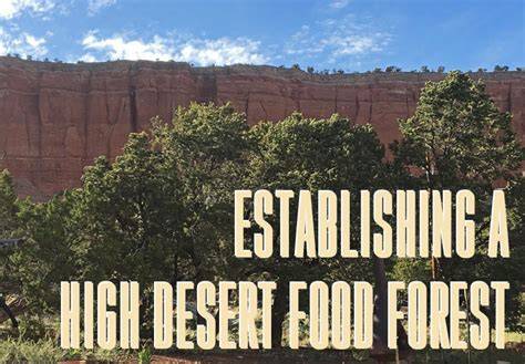 Establishing a High Desert Food Forest - The Survival … - raincitystudios.com