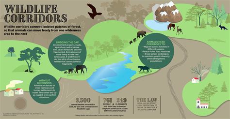 Establishing Wildlife Corridors & Habitat Protections in … - wintechmobiles.com