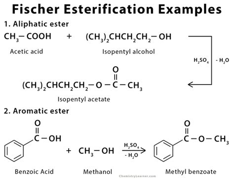 Esterification Definition And Examples | Chemistry Dictionary - wintechmobiles.com