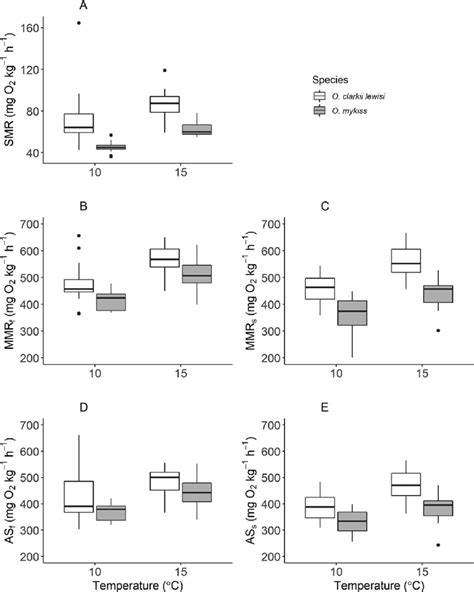 Estimates of metabolic rate and major constituents of metabolic … - raincitystudios.com