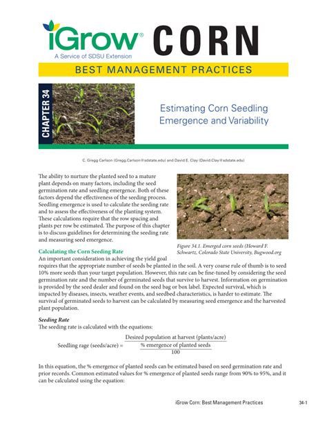 Estimating Corn Seedling Emergence and Variability - raincitystudios.com