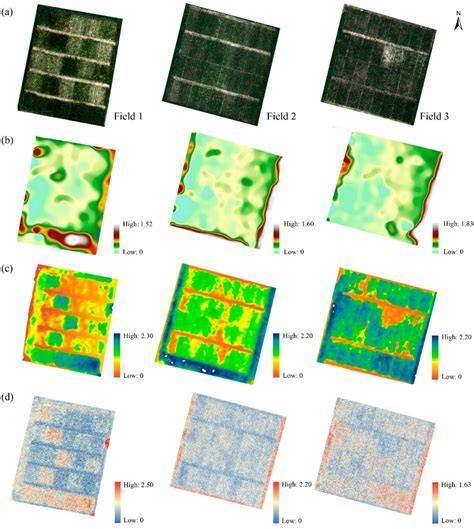 Estimating Maize Above-Ground Biomass Using 3D Point Clouds Of … - raincitystudios.com