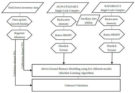 Estimation of Above Ground Biomass Using Machine Learning - raincitystudios.com