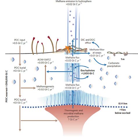 Estimation of Methane Leakage Flux from an Active Cold Seep in the ... - raincitystudios.com