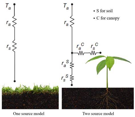 Estimation of sugarcane evapotranspiration from remote sensing and ... - raincitystudios.com