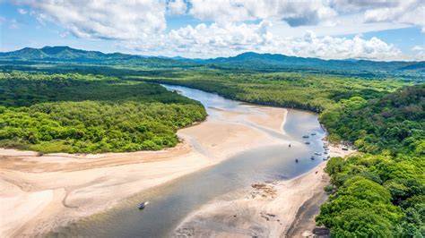 Estuaries & Coastal Wetlands | National Wildlife … - raincitystudios.com