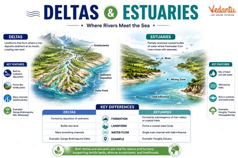 Estuaries | U.S. Geological Survey - USGS.gov - raincitystudios.com