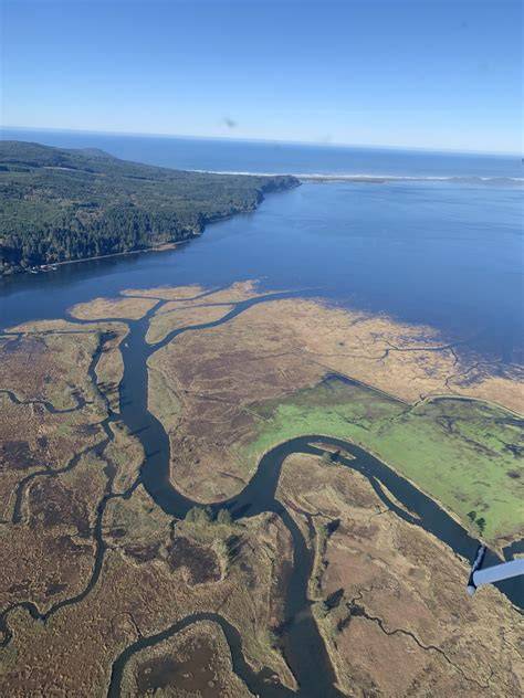 Estuaries – Oregon Conservation Strategy - raincitystudios.com