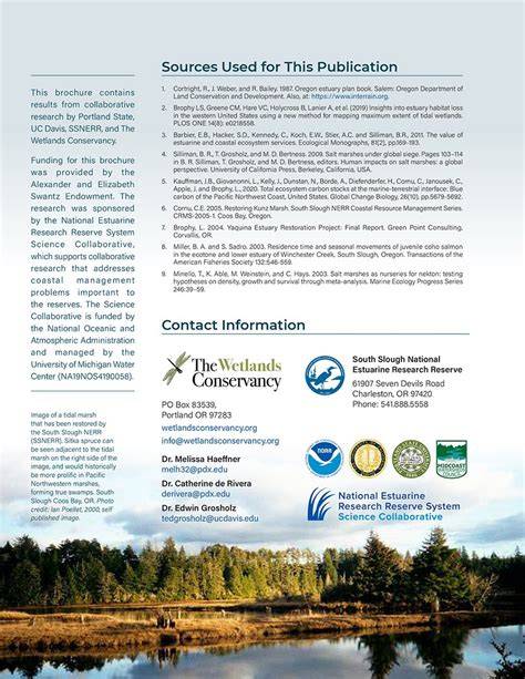 Estuaries — The Wetland Conservancy - raincitystudios.com