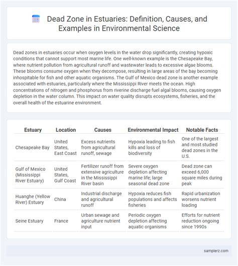 Estuaries Preservation: Causes & Methods - StudySmarter - raincitystudios.com