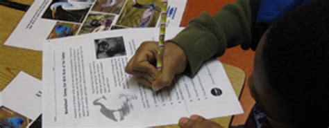 Estuary Curriculum and Classroom Activities - raincitystudios.com