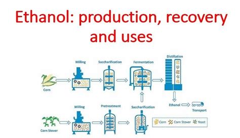 Ethanol Production (Alcohol) - Ethanol fermentation - wintechmobiles.com