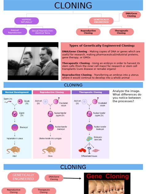 Ethical Aspects of Cloning Techniques - JSTOR - muktibox.com