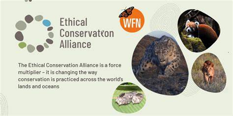 Ethical Conservation: Principles, Practices | Vaia - raincitystudios.com