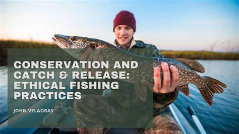 Ethical Fishing: A Guide to Sustainable Practices - raincitystudios.com