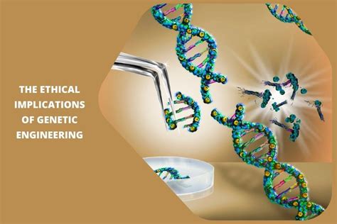 Ethics Of Genetic Engineering - Sciencing - muktibox.com