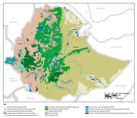 Ethiopian vegetation types, climate and topography - raincitystudios.com